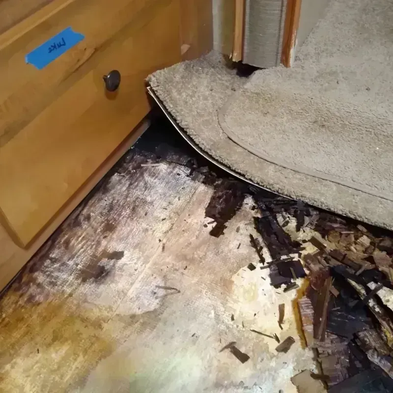 Wood Floor Water Damage in Pasco County, FL